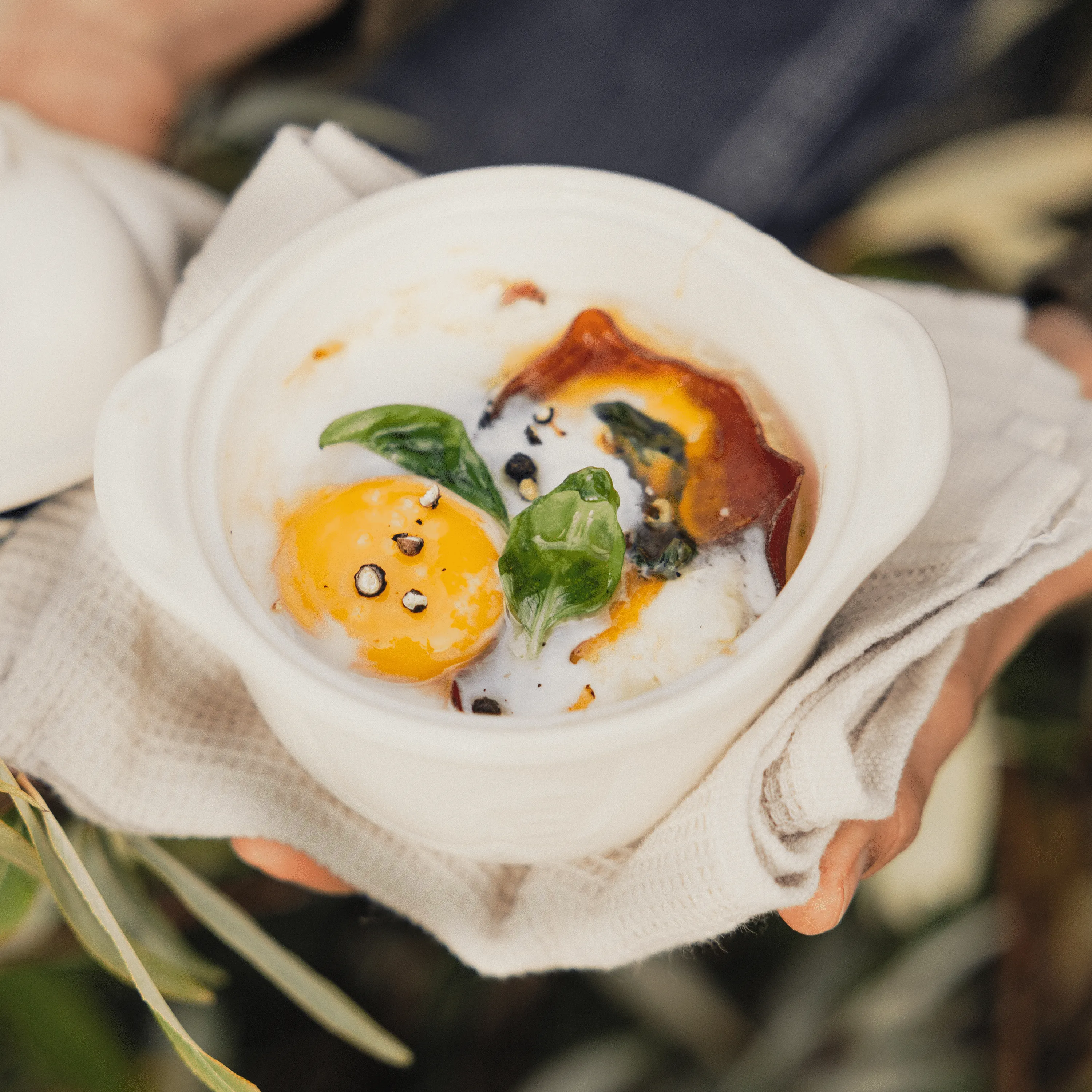 Egg Nest