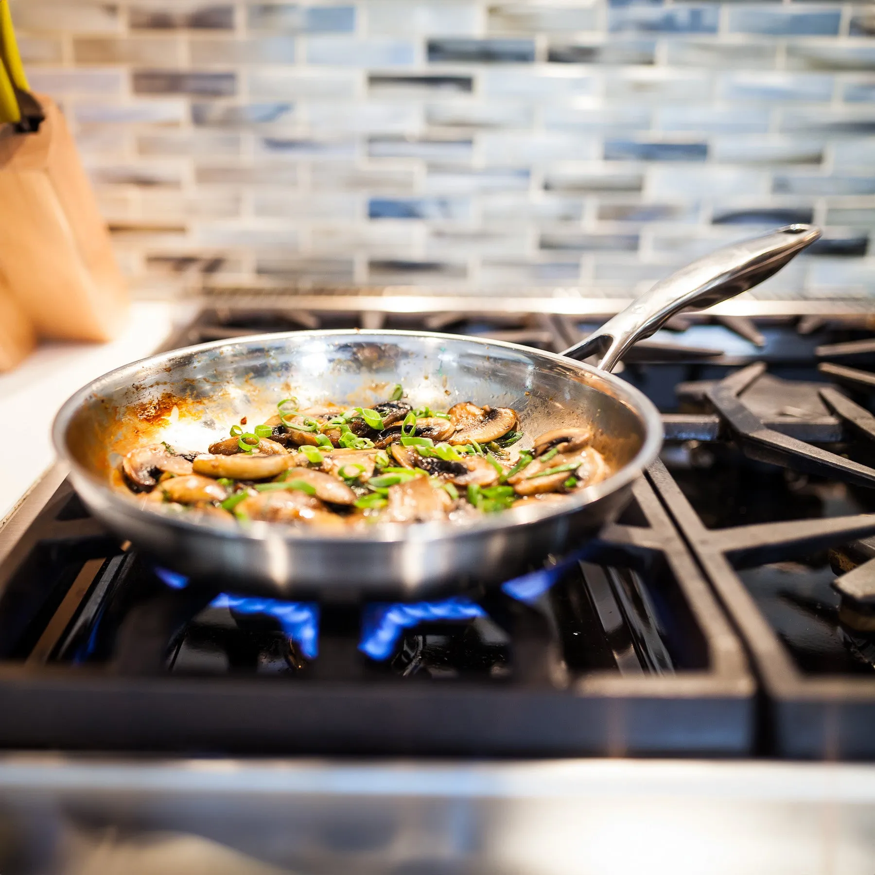 Premium Clad Fry Pan - Induction